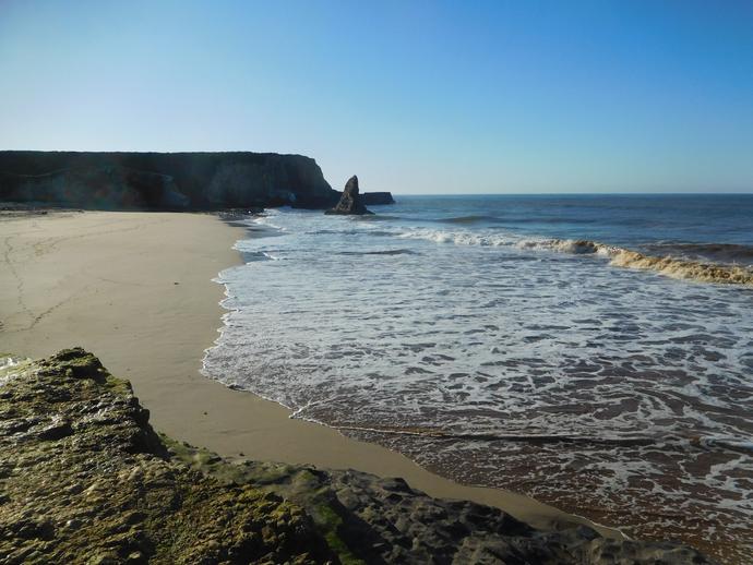 View of Davenport Beach showing the path down to the shore
